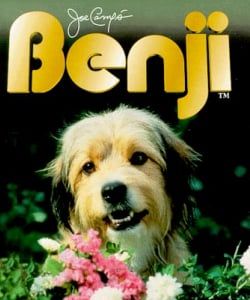 Benji Is Making A Comeback | Cinemablend