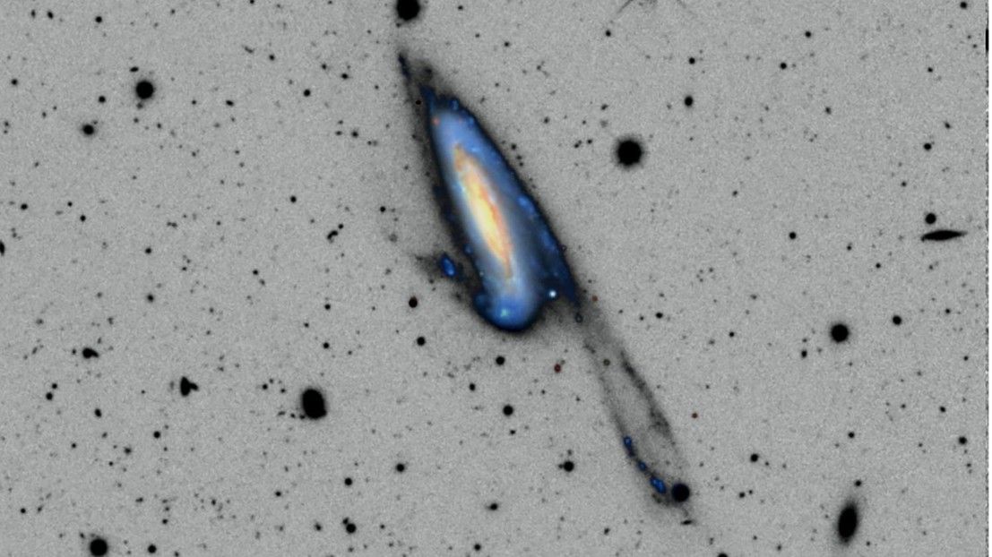 A diagram-type image representing stellar shells and tidal streams in haloes of nearby galaxies. 