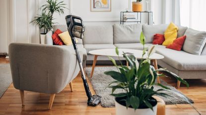 A cordless vaccum in a living room