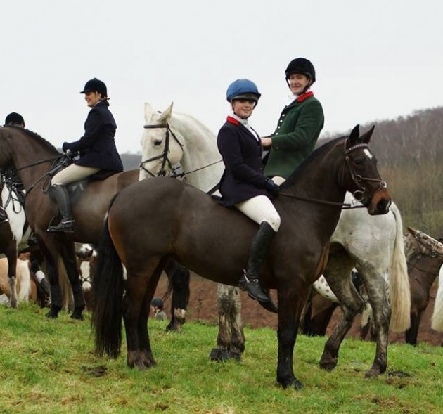Nicola Malkin on Grace Cheshire Bloodhounds