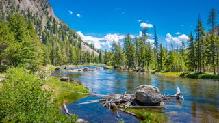 yellowstone national park