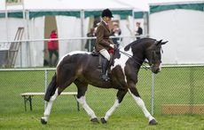 Lynn Russell and Cappasham