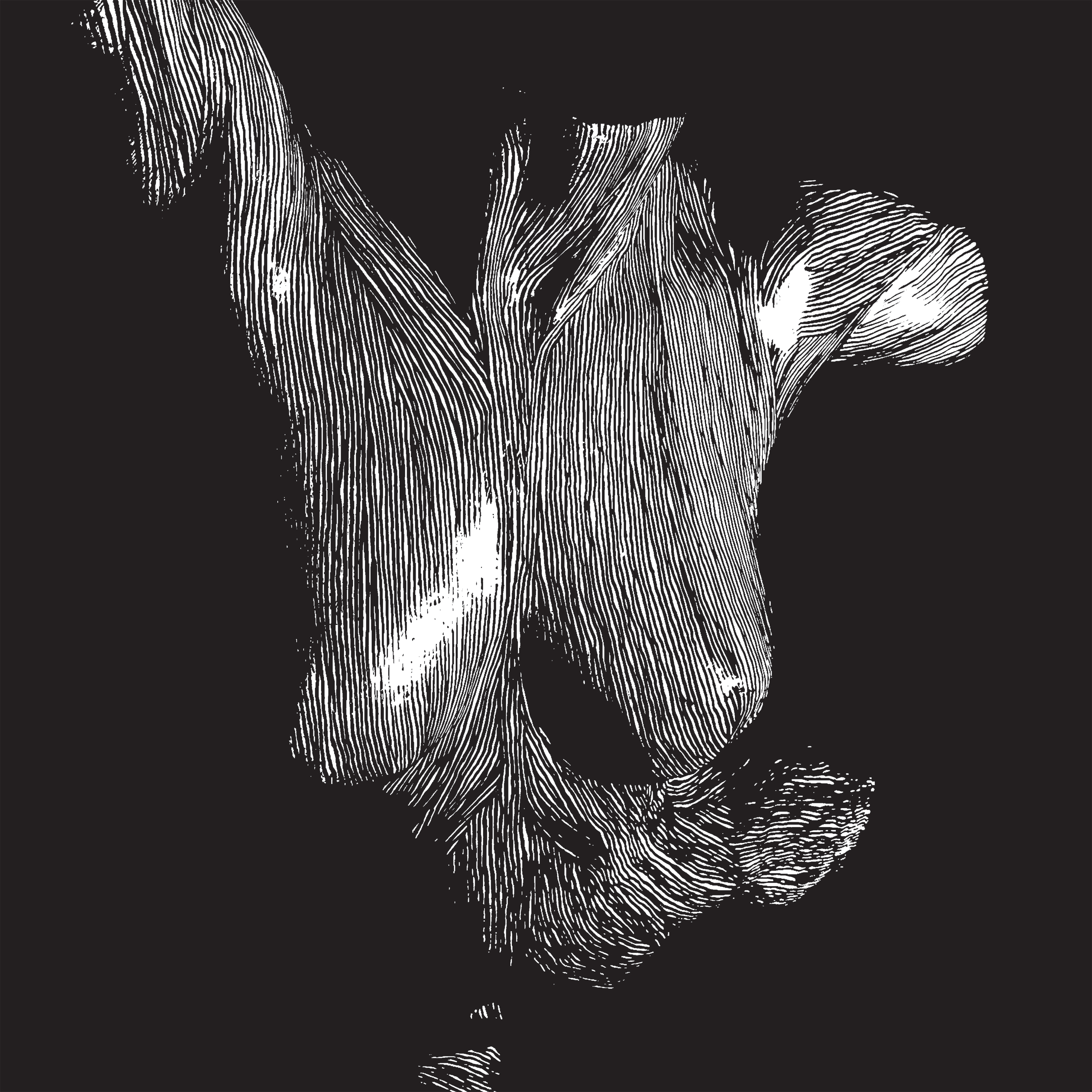 Oceansize Self Preserved While The Bodies Float Up cover 2010