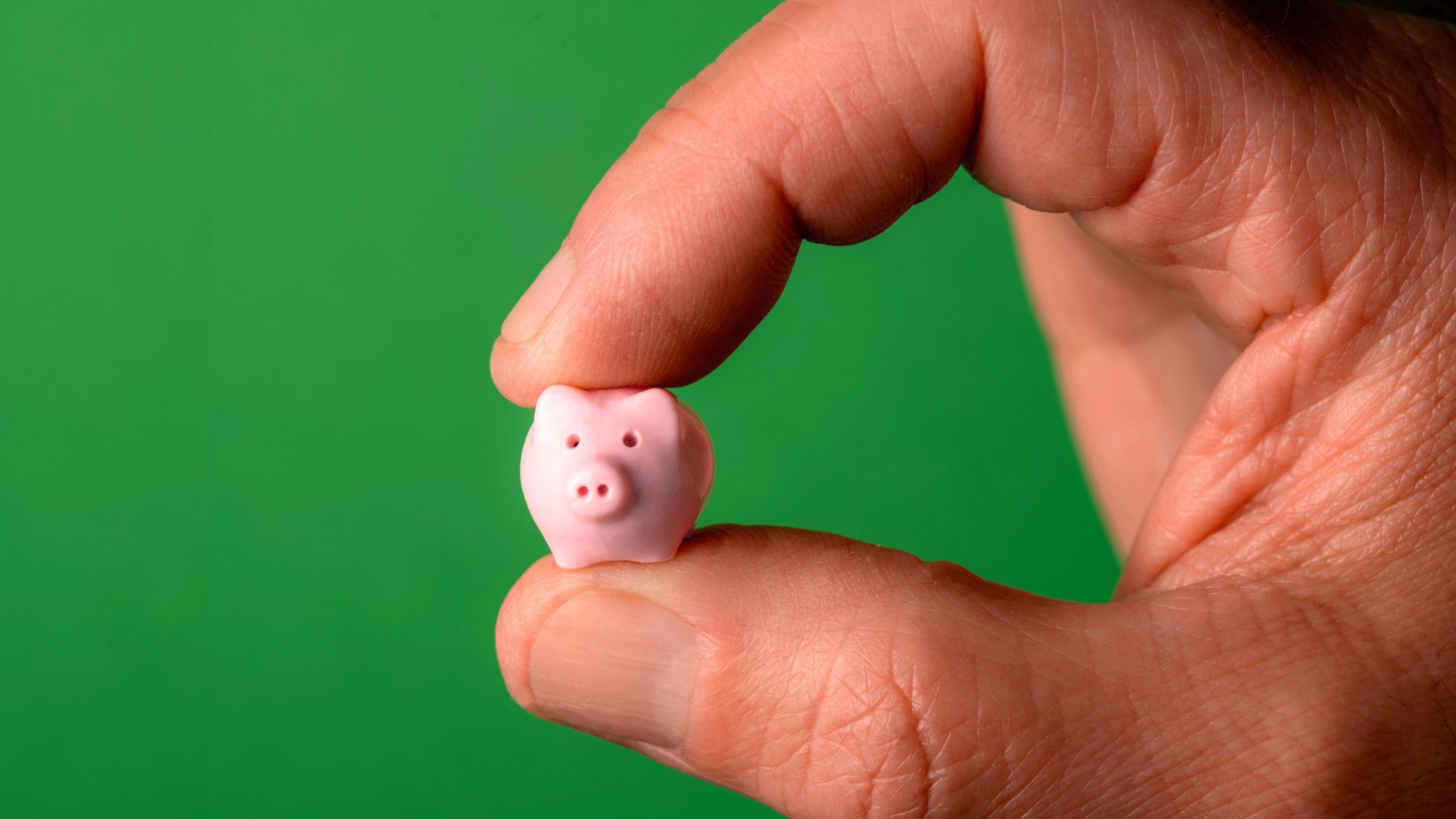 A tiny piggy bank being held by a human hand. 