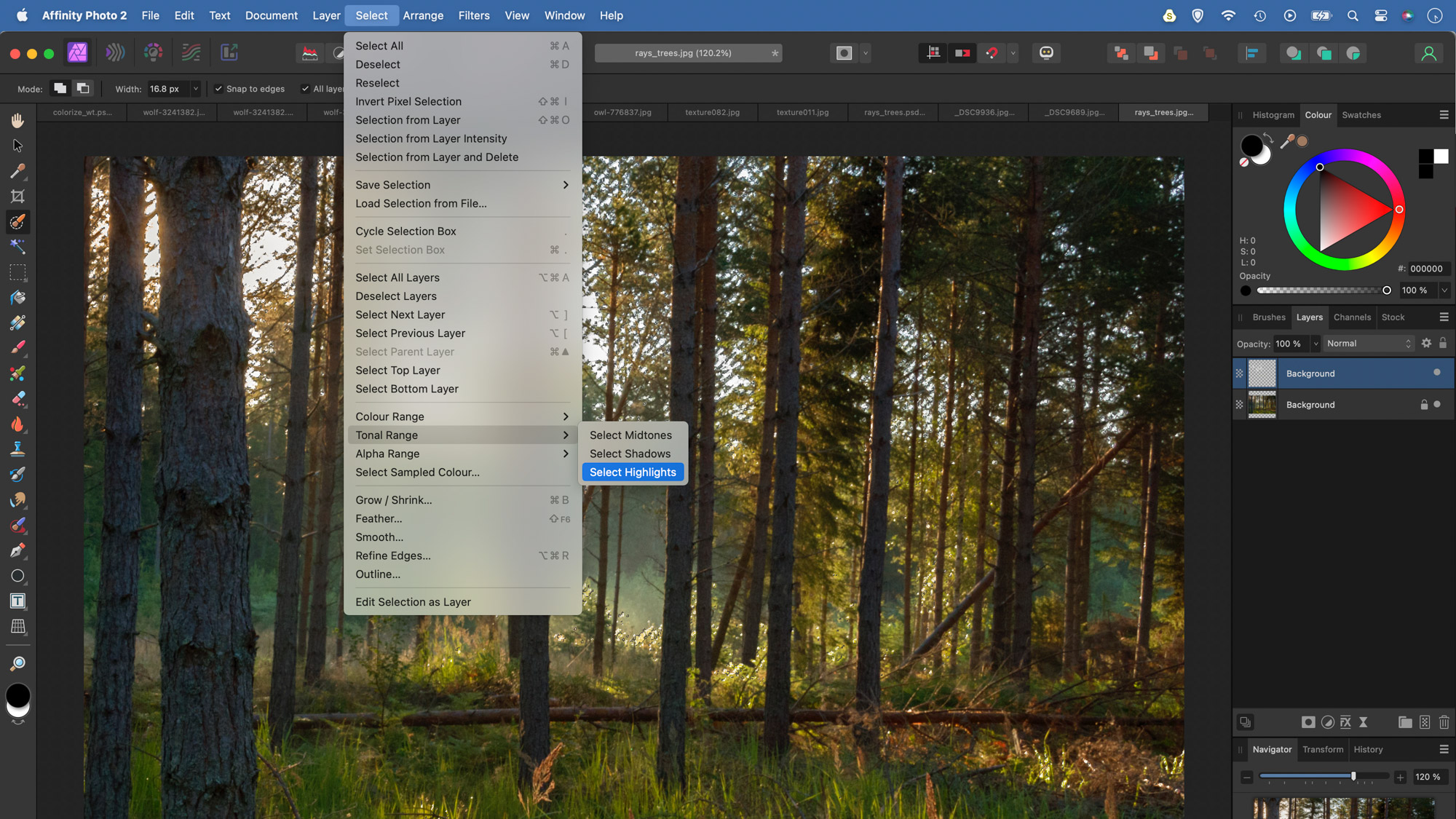 A person editing a forest scene in Affinity Photo adding light rays
