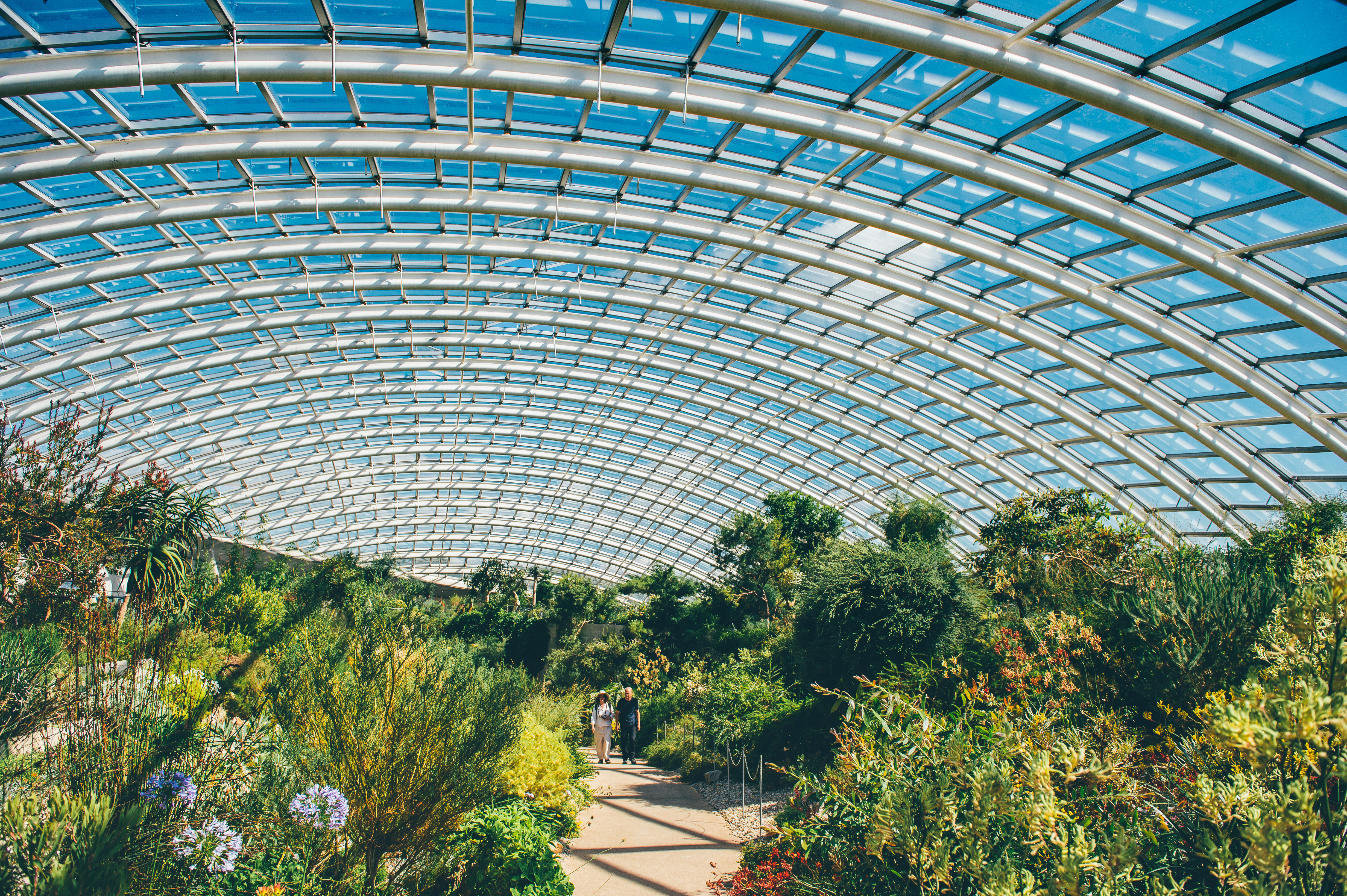 The National Botanic Garden of Wales