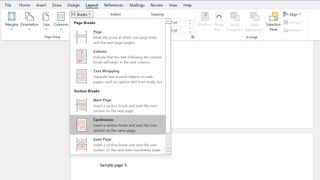screenshot of pagebreak formatting menu in Word