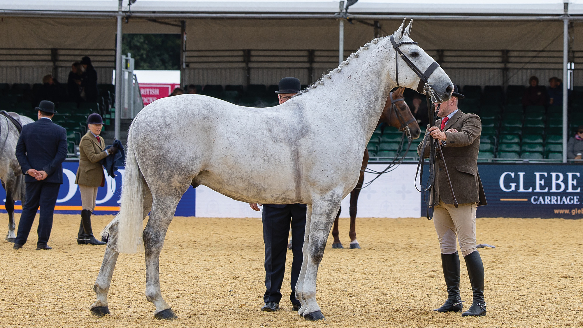 A grey middleweight hunter is stood up in hand in front of the judge at the Royal Windsor Horse Show