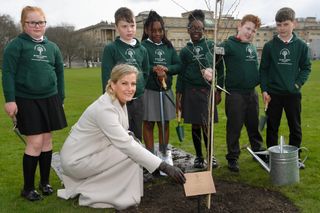Sophie, Countess of Wessex smiles next to a tree plaque as she joins year four schoolchildren from Grange Park Primary School in Shropshire for the planting of an elm tree as part of the Queen's Green Canopy (QGC) initiative to mark the Queen's Platinum Jubilee, in the gardens of Buckingham Palace on March 31, 2022 in London, England.