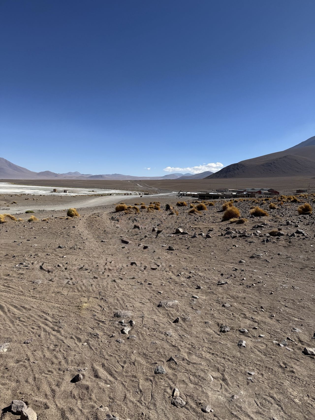 Assorted images demonstrating Clean Up in iOS 26