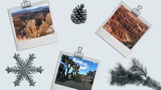 images of Joshua Tree and Bryce Canyon.