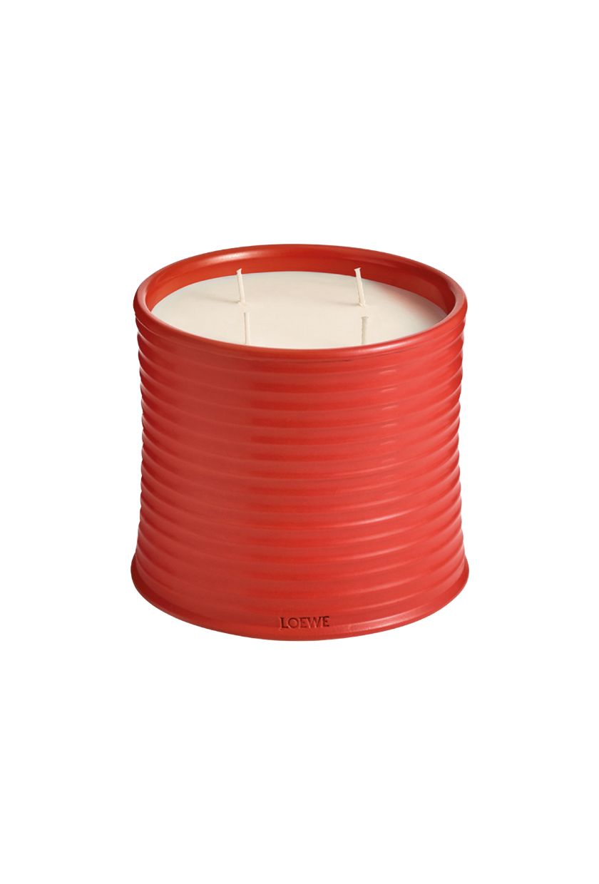 Loewe Large Tomato Leaves Candle 2120g