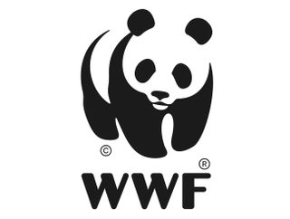 Non-profit logos: WWF