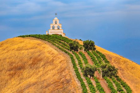 image of chapel and vine rows in Paso Robles