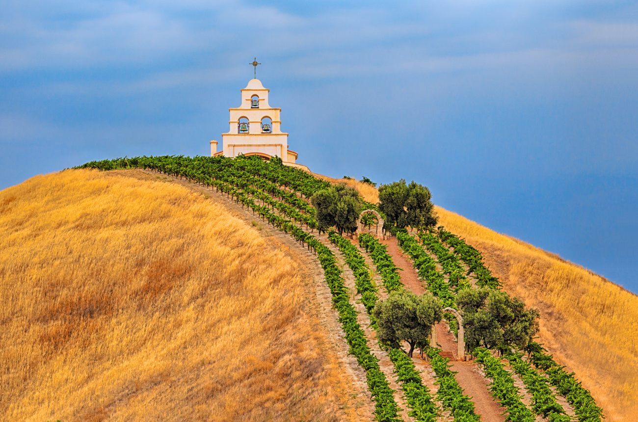 image of chapel and vine rows in Paso Robles