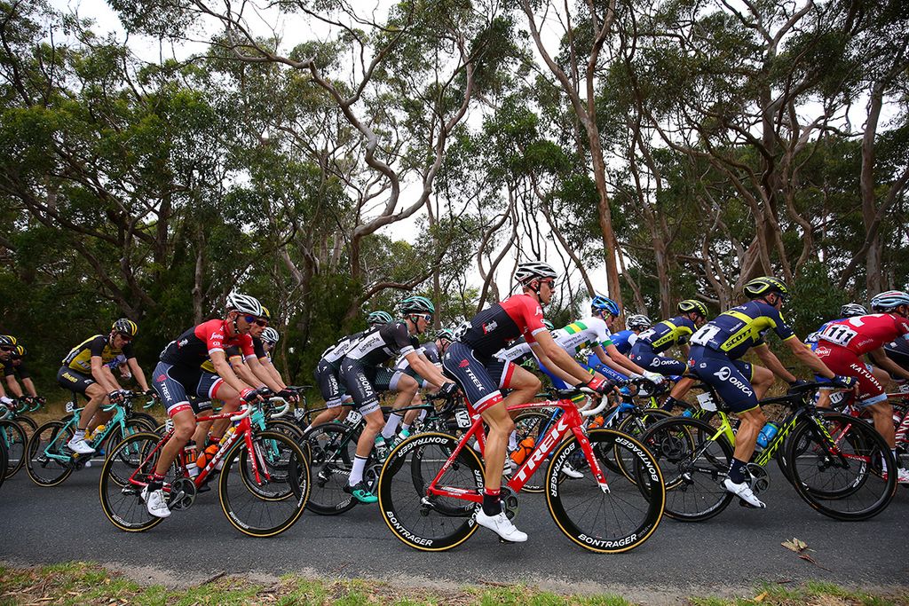 The Trek-Segafredo kit stands out in the peloton