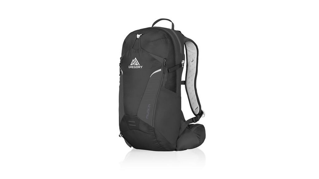 Best running backpack 2024 for commuting and marathons T3