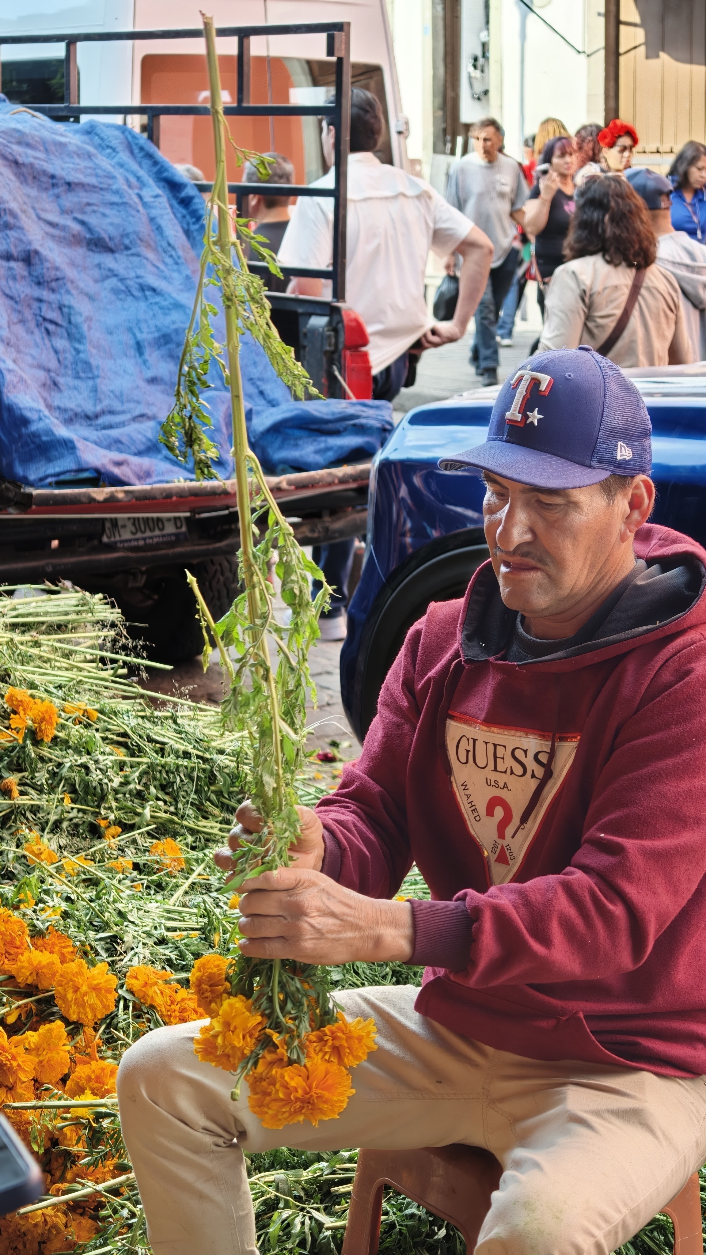 Oppo Find X9 Pro camera review image sample