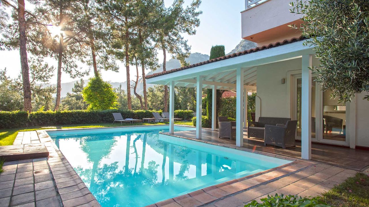 backyard pool with trees and sunshine