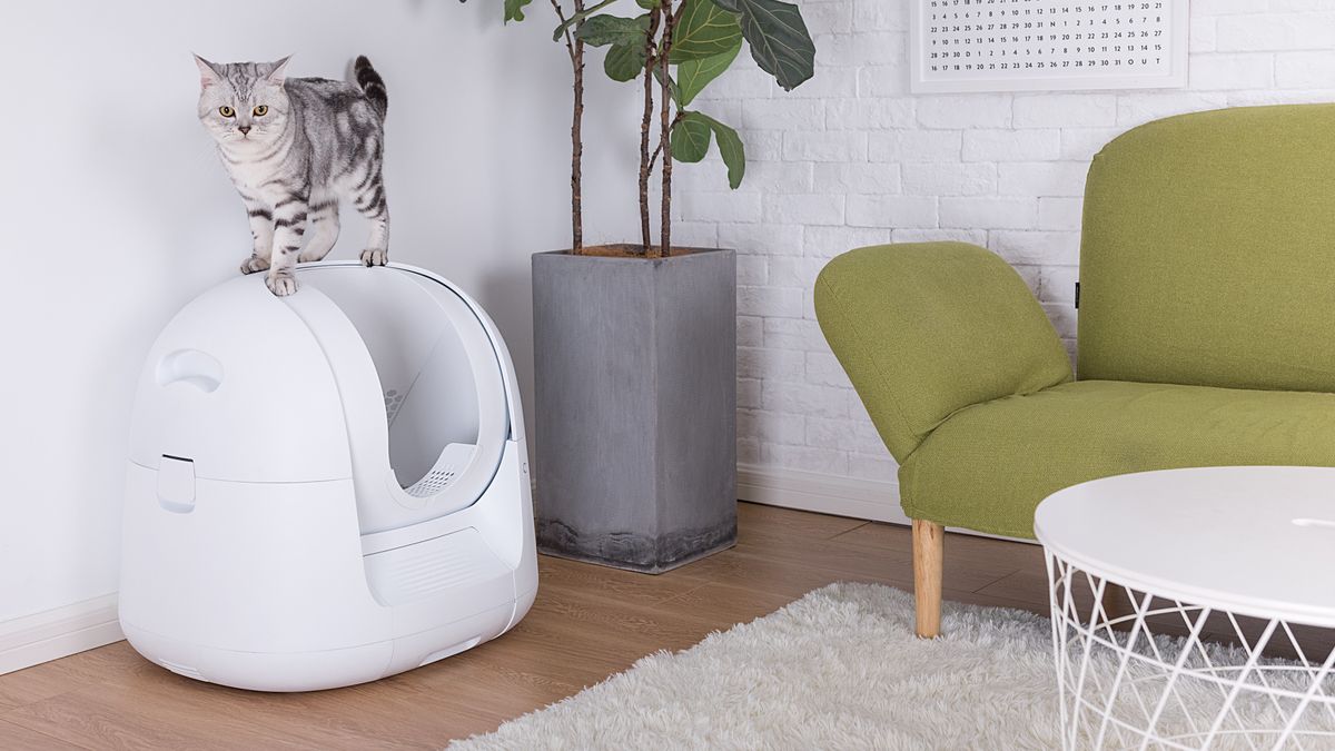 This AI litter tray analyzes your cat's health and uses NASA tech to