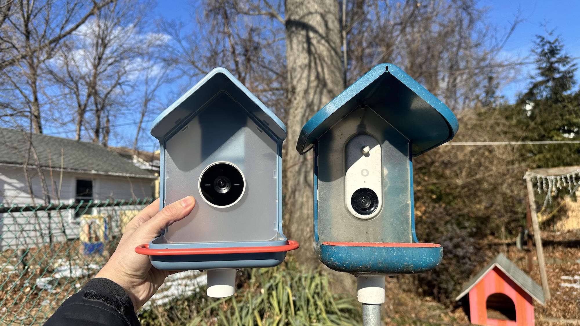 BirdBuddy Home (left) next to BirdBuddy Pro (right)