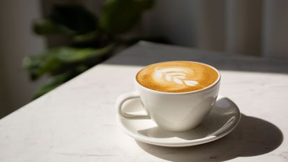 decaf coffee : A latte on a countertop with a plant in the background