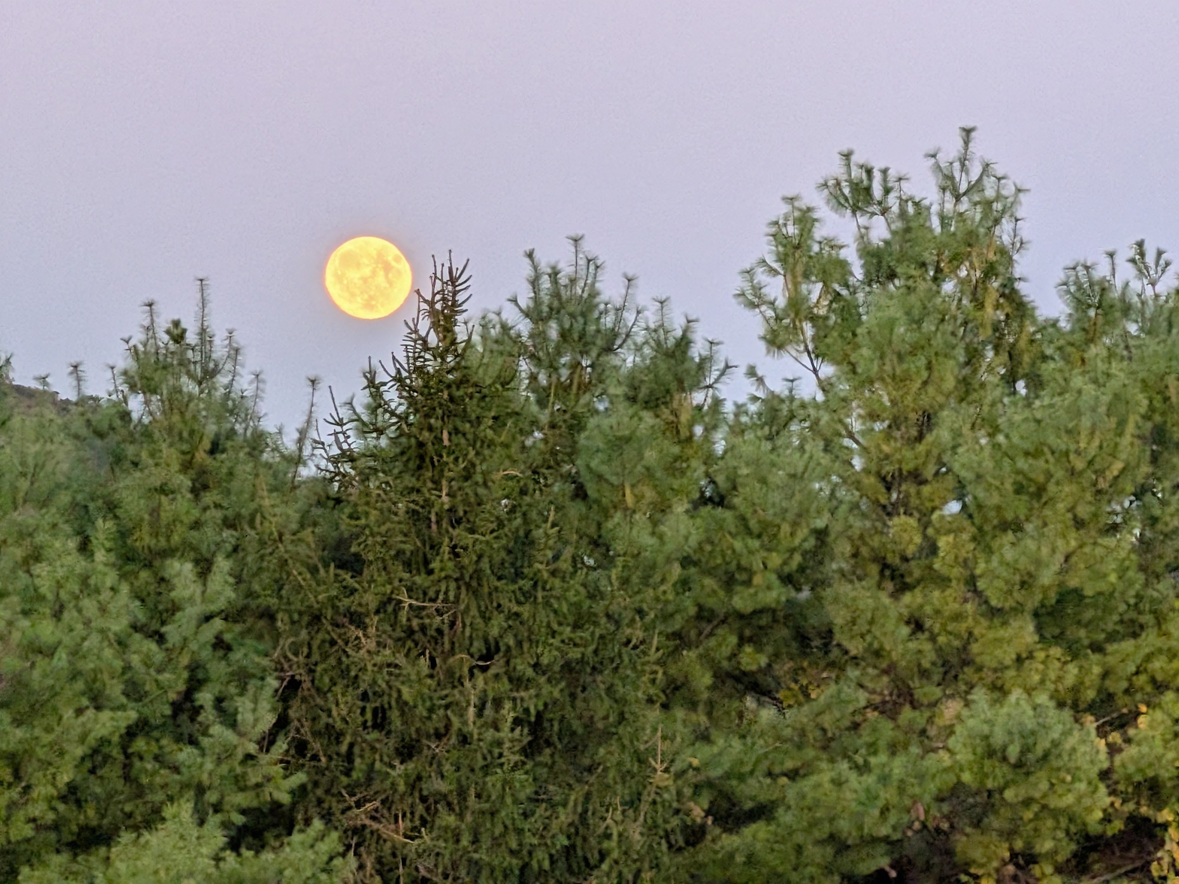 Photos taken with the Google Pixel 10 Pro Fold