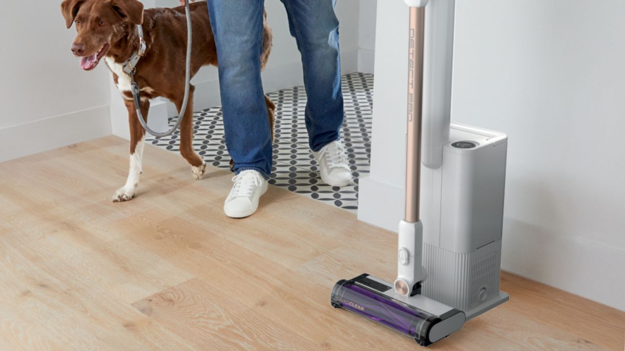 Shark Cordless Detect Auto Pro Empty vacuum cleaner on light wood laminate flooring with medium-sized dog and owner wearing medium-blue denim jeans and white sneakers