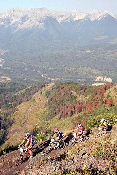 Four riders ride amongst a backdrop