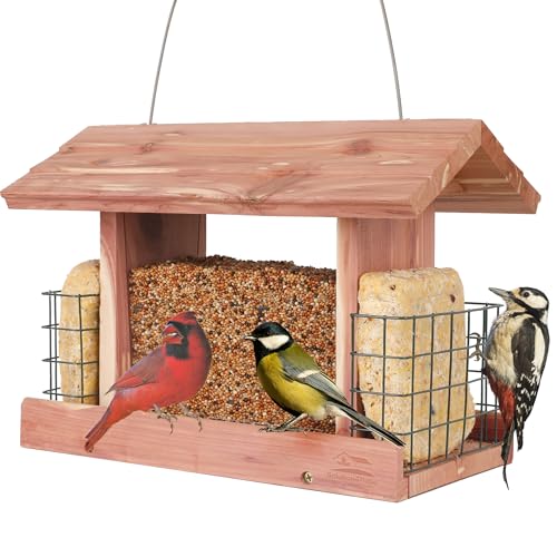 Solution4patio Us Cedar Hopper Bird Feeder for Outdoors Hanging, Handcrafted Wood Double Suet Cage &amp;amp; Clear View Windows, Squirrel-Proof Wild Bird Feeder for Cardinals, Finches, Chickadees