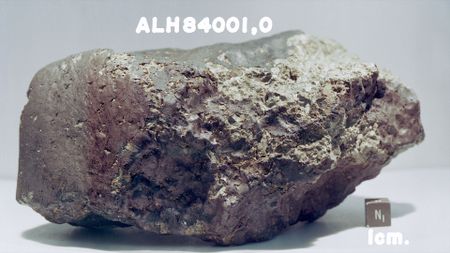 A meteorite rock with a jagged right side sits is photographed with a scale block.