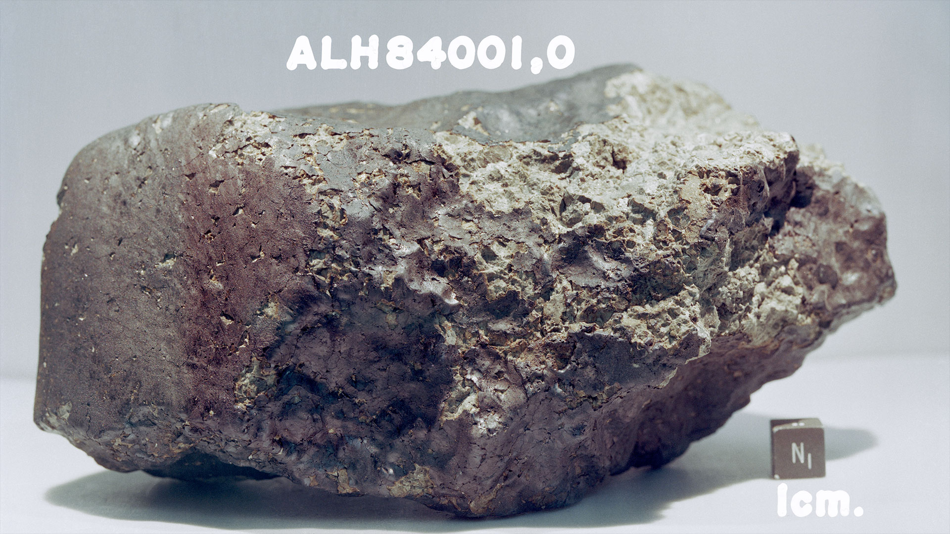 A meteorite rock with a jagged right side sits is photographed with a scale block.