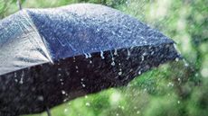 Umbrella in storm