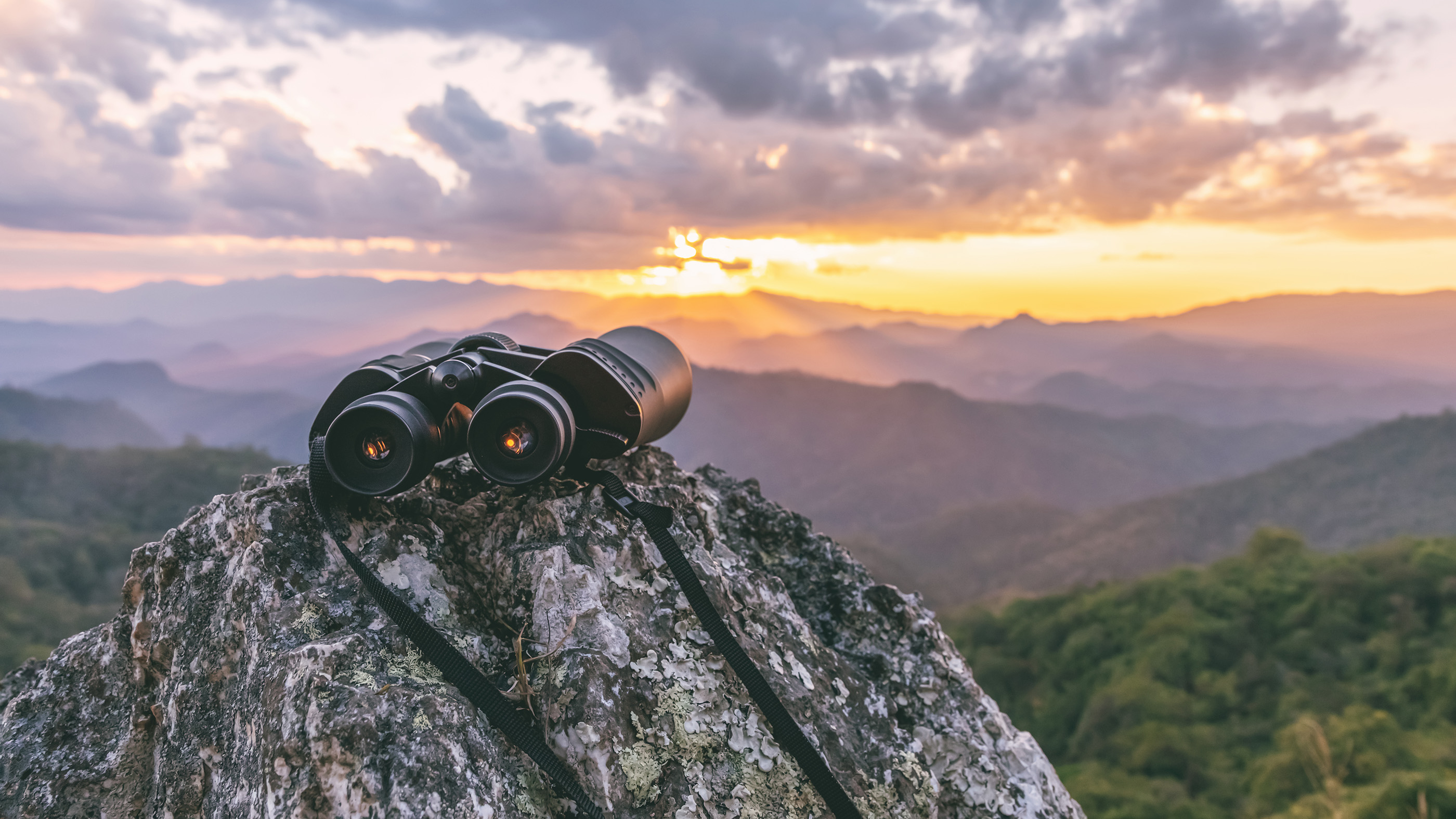 Black Friday binoculars deals 2021