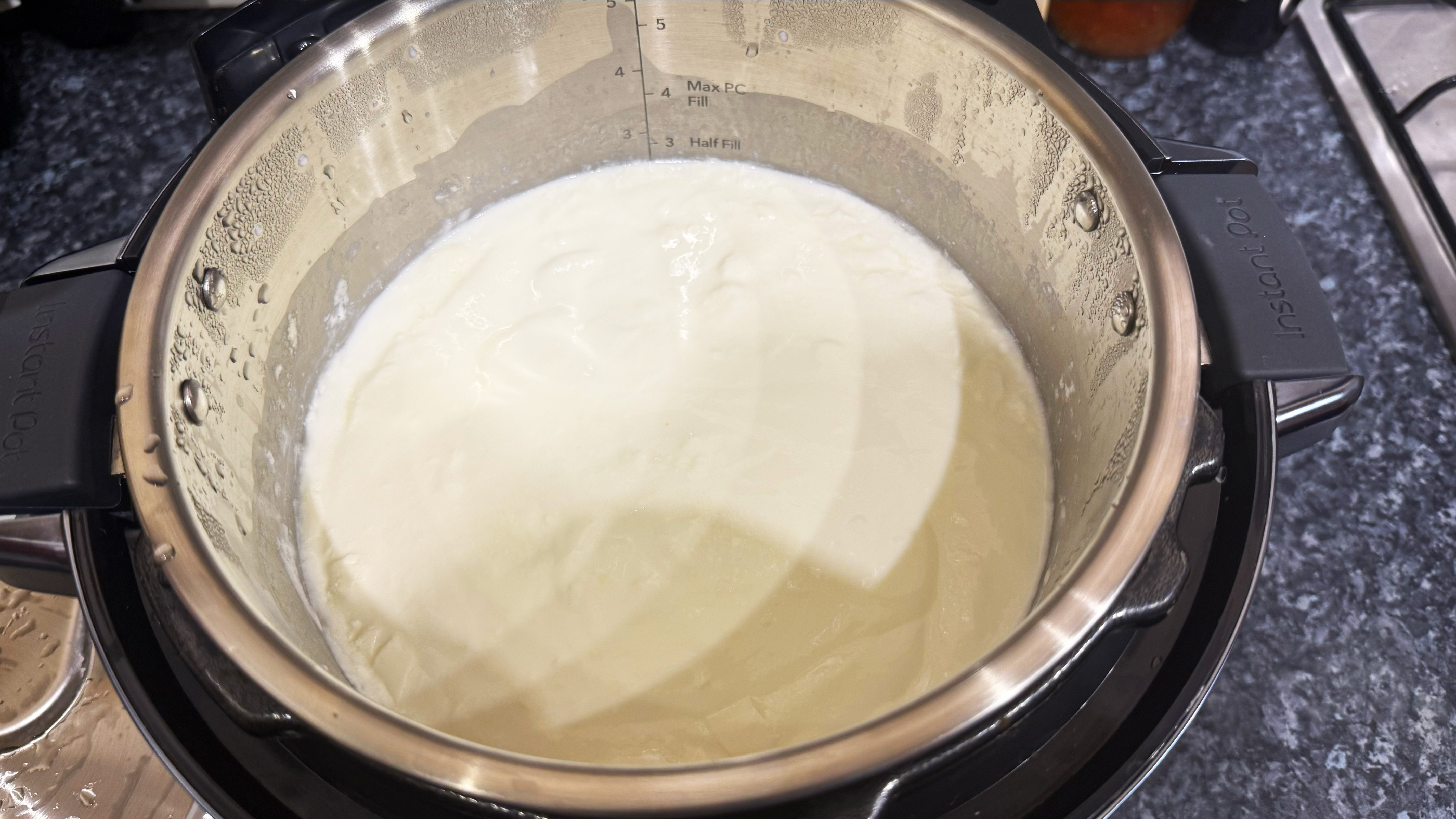 yogurt made in the instant pot pro