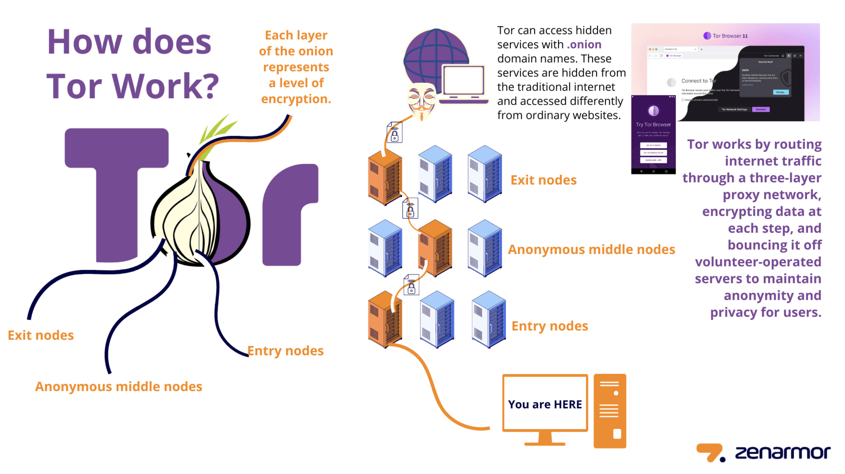 Infographic showing how the Tor browser works