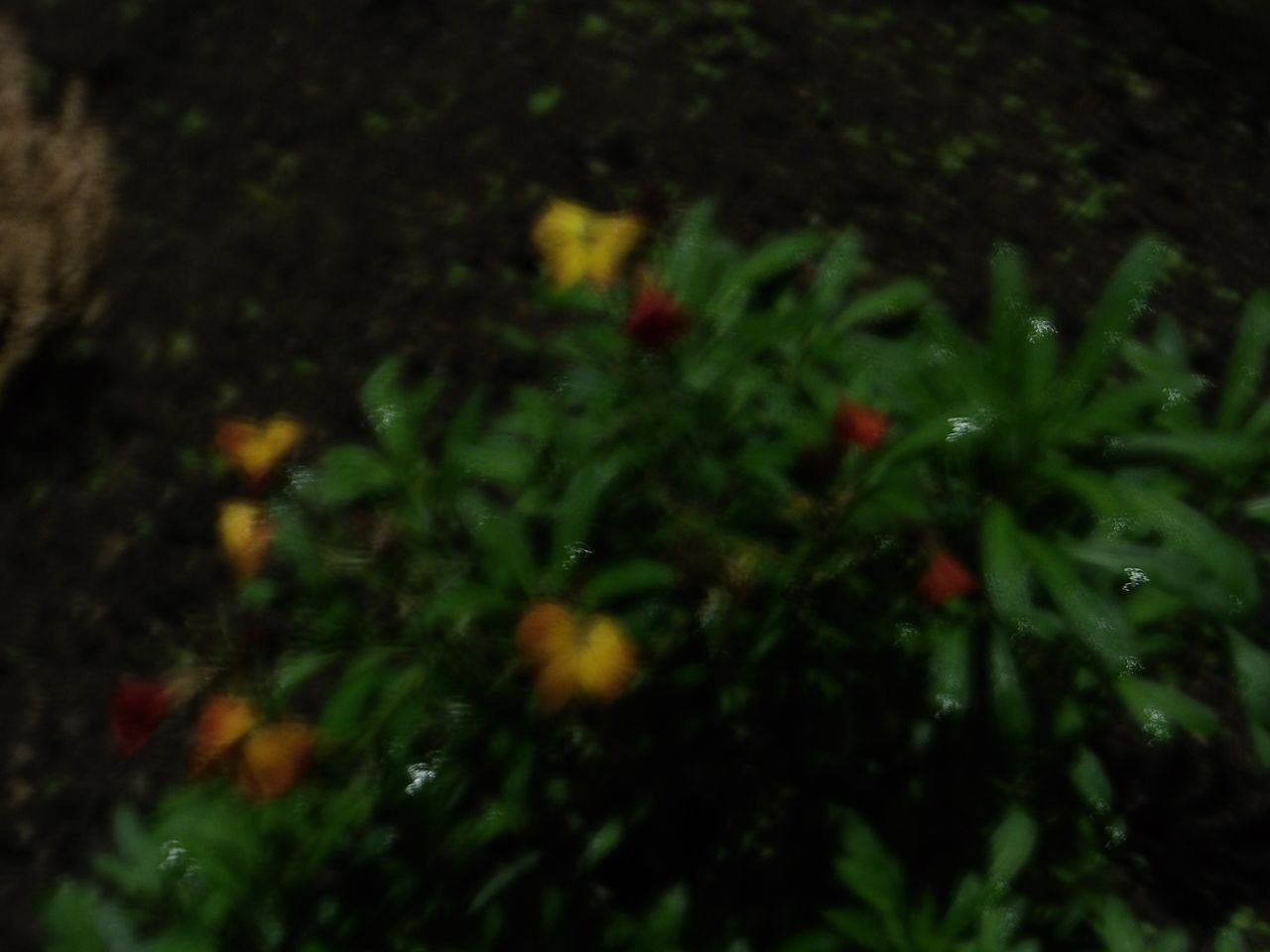 A photo taken on a Kodak PIXPRO WPZ2 compact camera