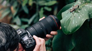 Best lenses for Canon EOS R5: Canon RF 100mm f/2.8L Macro IS USM