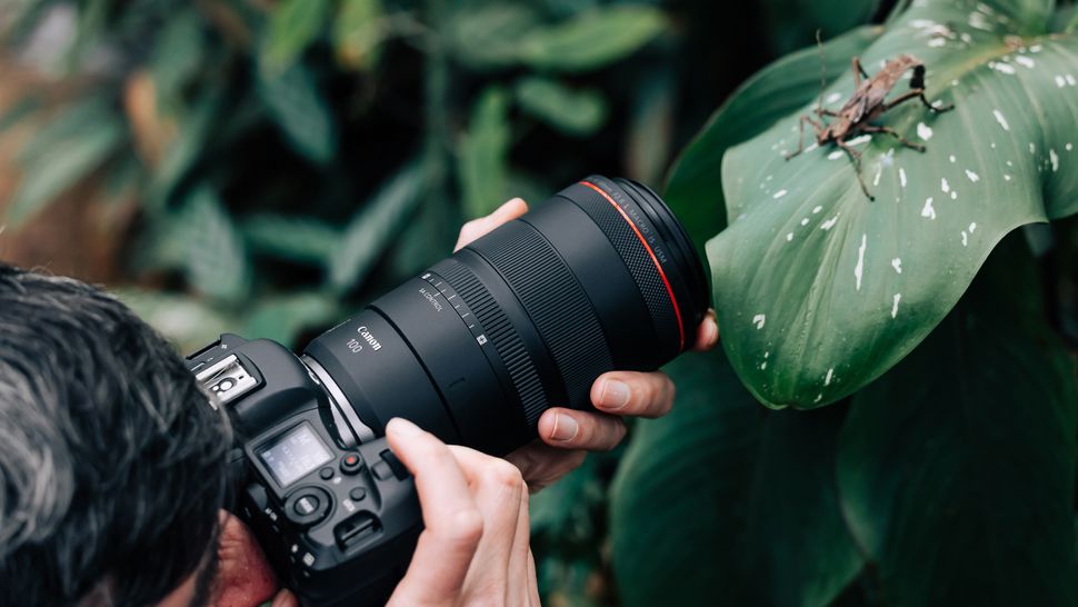 Best Lenses For The Canon R5 | Digital Camera World