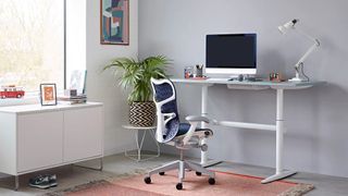 Herman Miller Mirra 2 Butterfly Office Chair review