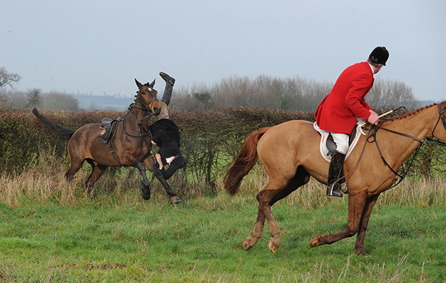 January 2016: Albrighton and Woodland