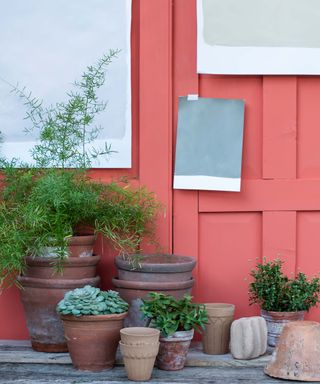 Colorful coral exterior paint detail with fresh potted plants in terracotta pots on decking.
