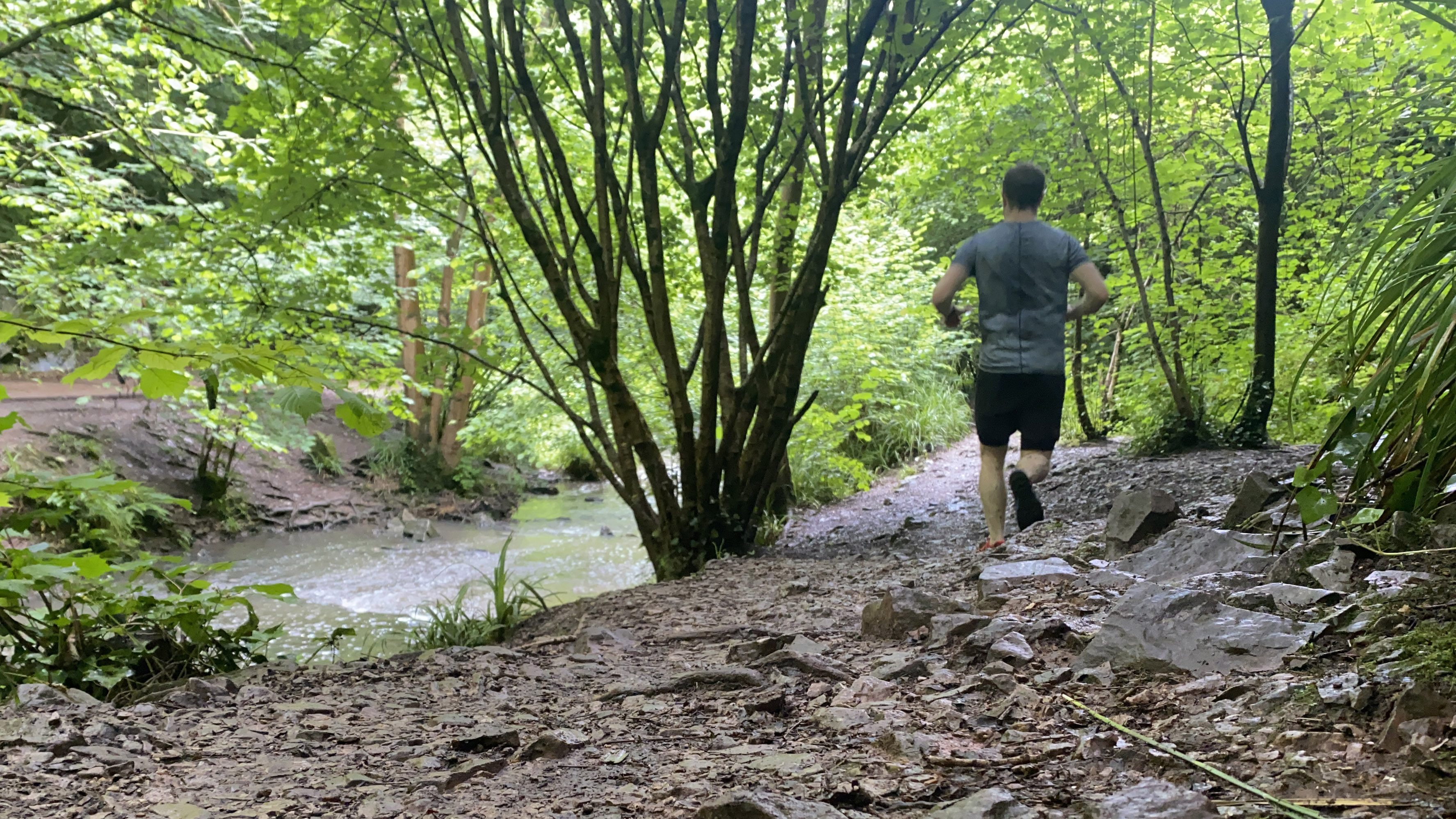 Henbury Gorge: running alongside Hazel Brook