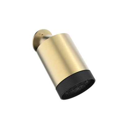 brass multifunction shower head
