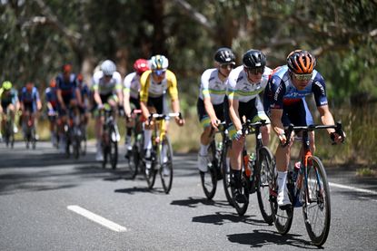 The peloton at the Tour Down Under