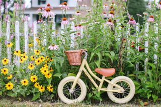 garden activities for kids: Banwood bike