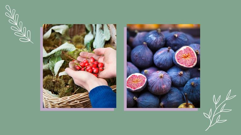 woman putting berries in basket and stack of figs on green background