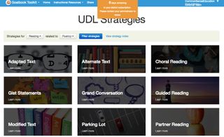 Screenshot of Goalbook Toolkit UDL strategies, from adapted text to partner reading