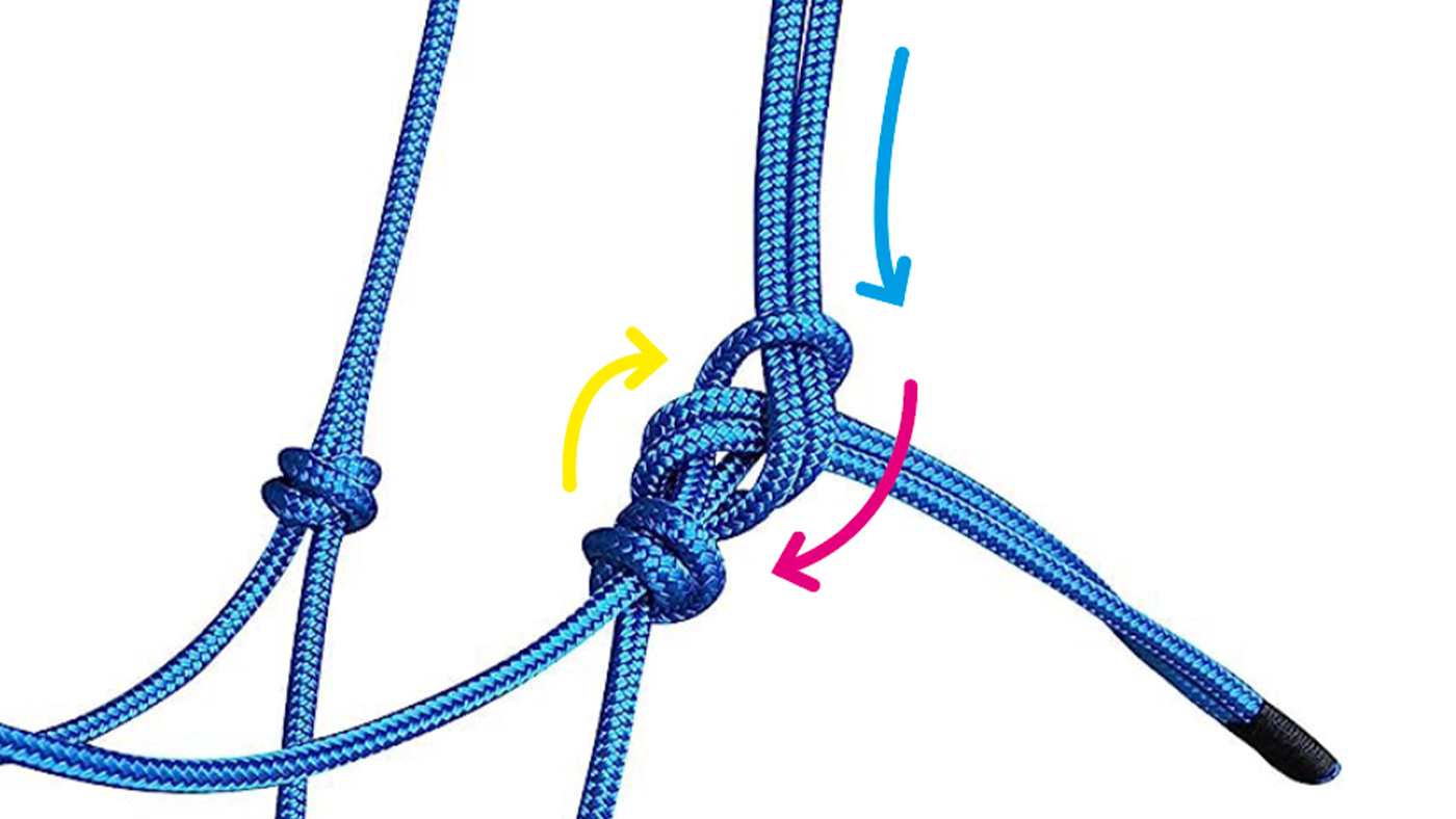 Diagram showing how to tie a rope halter
