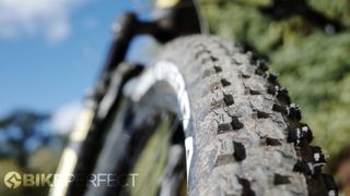 A close up showing the tread height difference between the centre and shoulders on the Vittoria Syerra downcountry tire